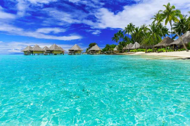 鄰近Tohora Bora Bora Snorkeling Lagoon Tours & Whale Watching的酒店