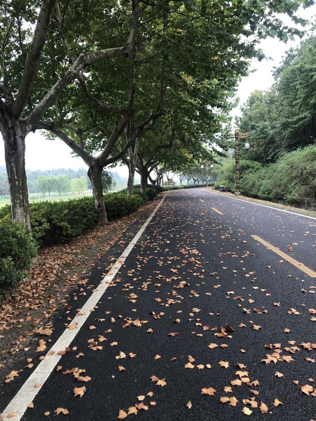 Longbeishan Forest Park
