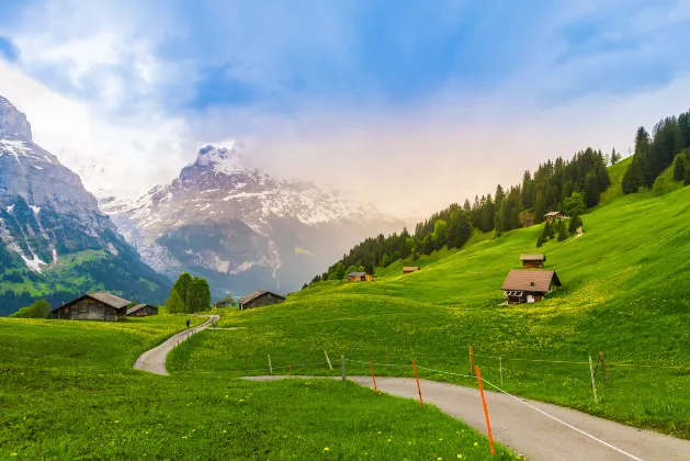 Basel Homestays