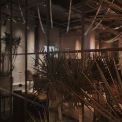 廈門NOA諾亞飯店·甲板咖啡&精釀吧 DECK COFFEE&BAR張用戶圖片