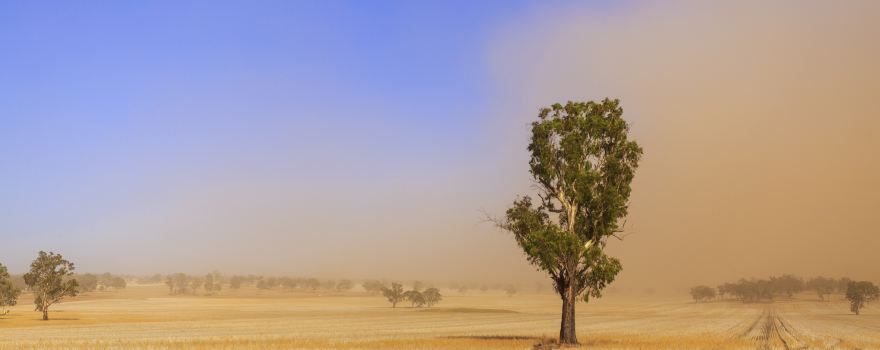 Wagga Wagga