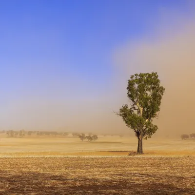 Hotels near Narrabri and District Soldiers Memorial