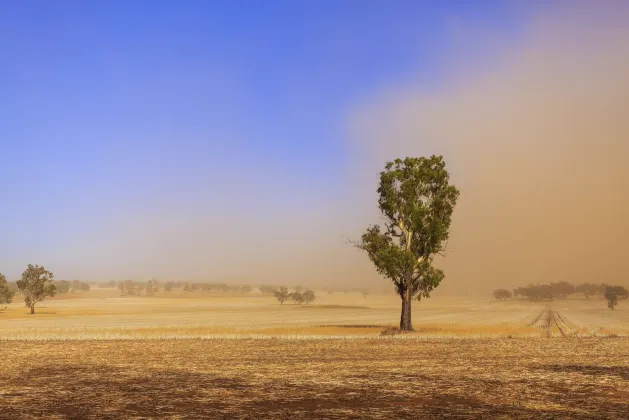 Flights Adelaide to Parkes