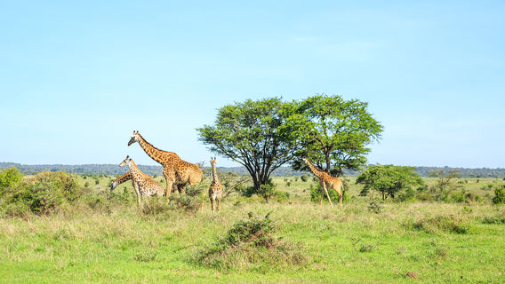 NairobiTours