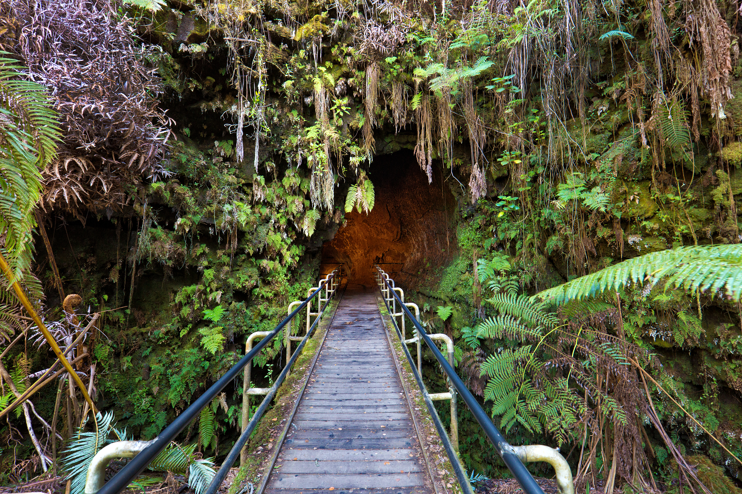 2025 Hawaii Volcanoes National Park Travel Guide: Must-see attractions, popular food, hotels, transportation routes (updated in October)