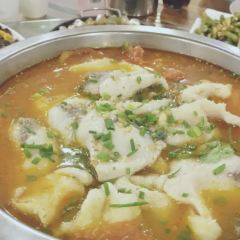 Tiantianyou Fish (jingyuan) ảnh của người dùng