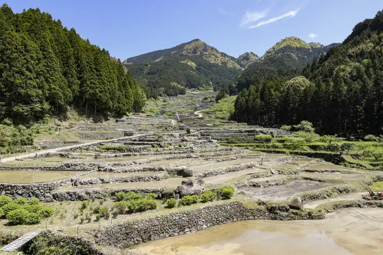 Giappone: hotel con internet nella provincia di Prefettura di Aichi