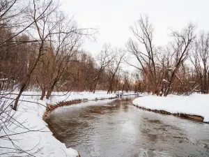 National Park «Elk Island»