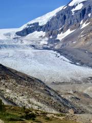 Columbia Icefield Glacier Adventure