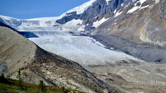 Columbia Icefield Glacier Adventure