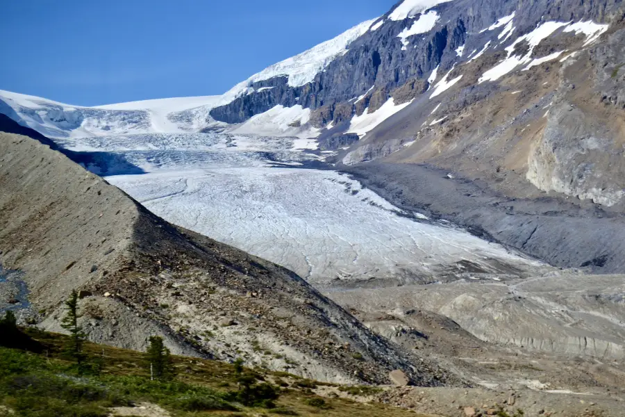 Columbia Icefield Glacier Adventure