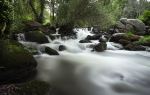 Gaoligongshan National Nature Reserve