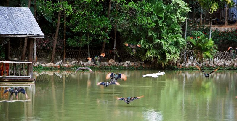 Xishuangbanna Primeval Forest Park