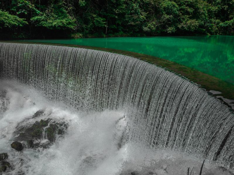 Wolong Pond