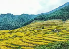 Huaqi Ecological Village