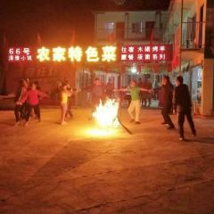 张北66号清雅小筑农家餐厅(餐饮部) User Photo