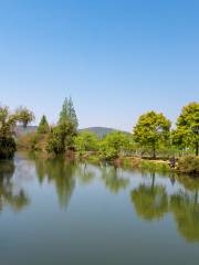 Beilun Forest Botanical Garden