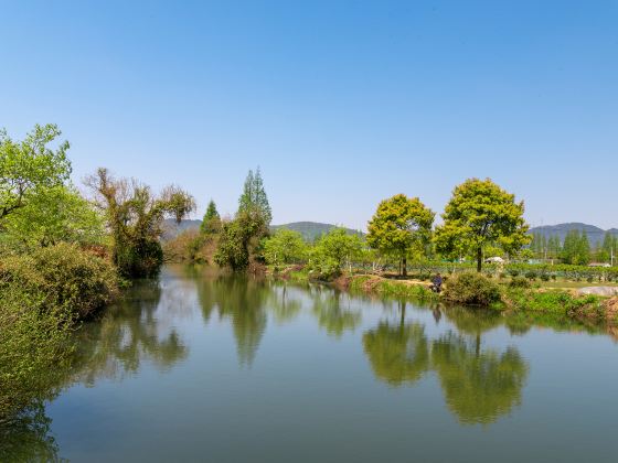 Beilun Forest Botanical Garden