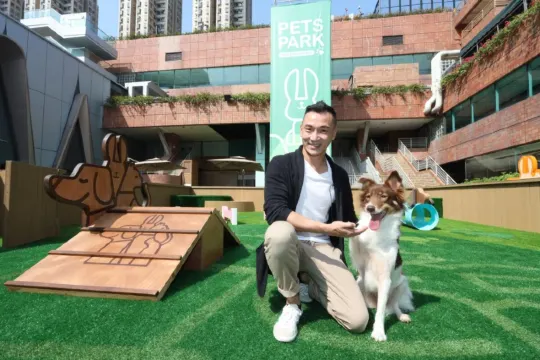 【2026寵物公園】12個狗公園推薦!全港室內外寵物好去處