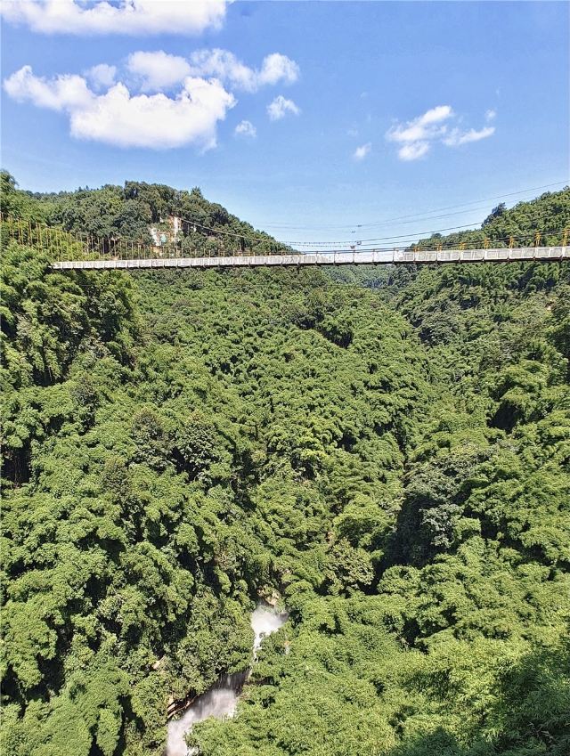 Bamboo Canyon Scenic Area (Jinji Valley)