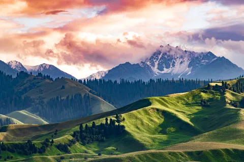Nalati Grassland
