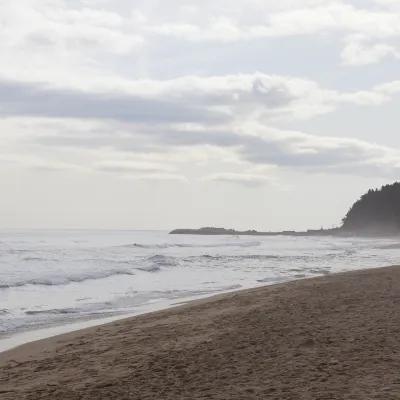 Vé máy bay Nha Trang Tương Dương