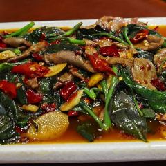 E-Restaurant User Photo