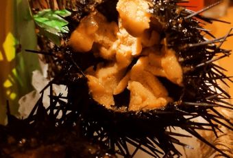 金阪真次用戶圖片