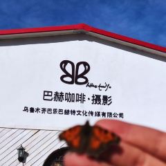 巴赫咖啡·摄影 User Photo