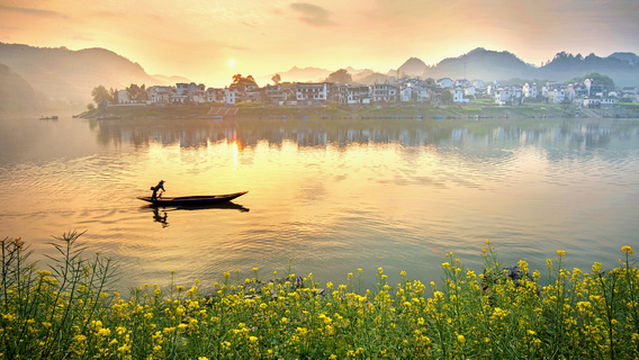 Rapeseed Flower Viewing in Huangshan