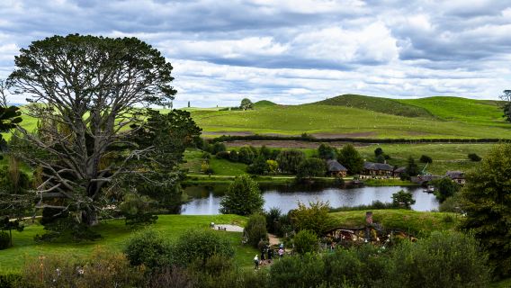 Auckland Departure: Hobbiton™ Movie Set Tours & Waitomo Caves Guided 1-Day Tour with Lunch (English Tour)