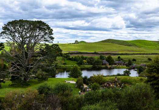 Auckland Departure: Hobbiton™ Movie Set Tours & Waitomo Caves Guided 1-Day Tour with Lunch (English Tour)