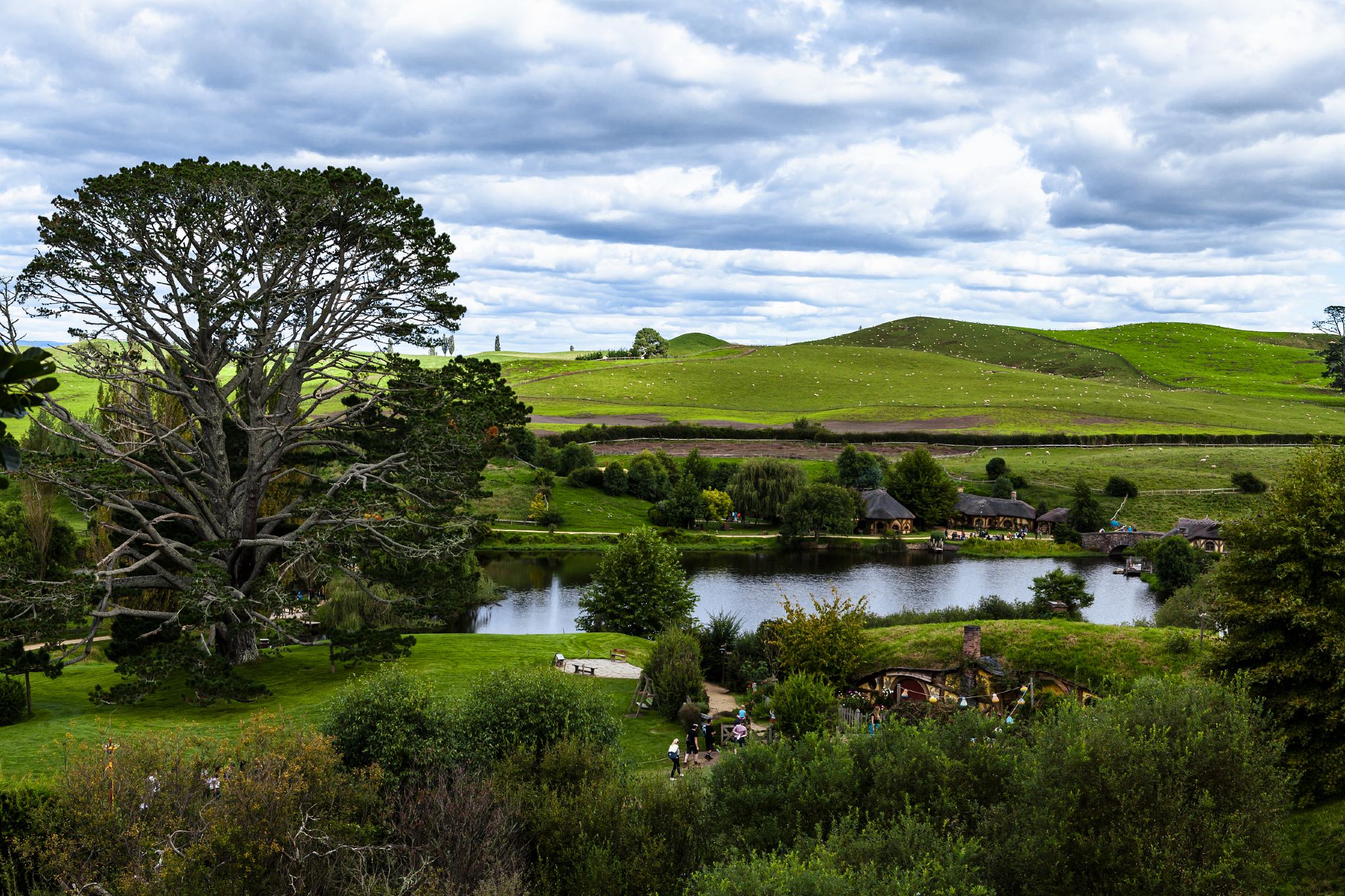 Auckland Departure: Hobbiton™ Movie Set Tours & Waitomo Caves Guided 1-Day Tour with Lunch (English Tour)