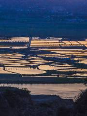 Yellow River Wetland Scenic Area