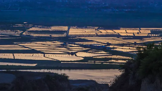 黃河濕地景區