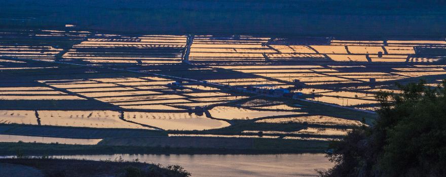 Yellow River Wetland Scenic Area