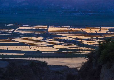 黃河濕地景區