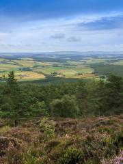 Cairngorms National Park