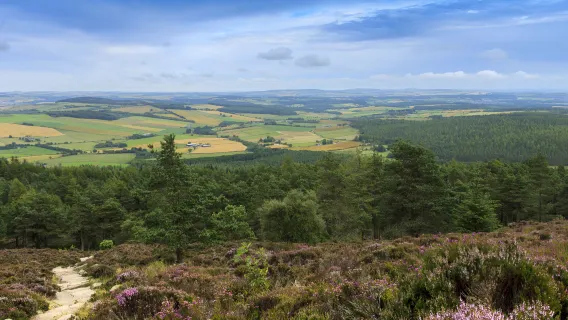 Findhorn + Portnoy + Cairngorms National Park + Banff + Karon one-day tour