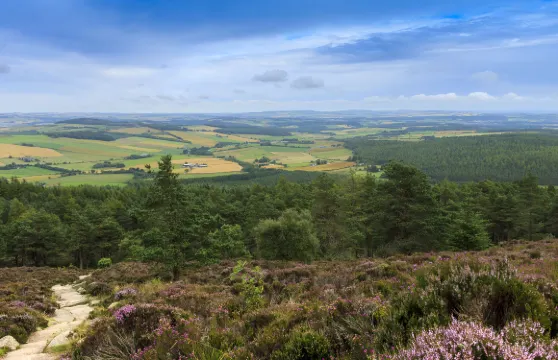 芬德霍恩+波特諾基+凱恩戈姆國家公園+班夫+卡倫一日遊