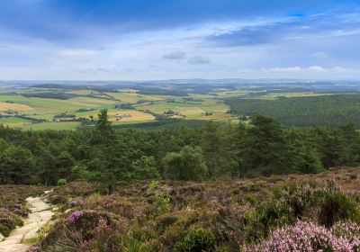 Cairngorms National Park