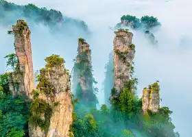 Национальный лесной парк Чжан Цзяцзянь