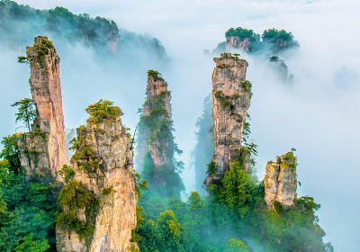 Zhangjiajie National Forest Park