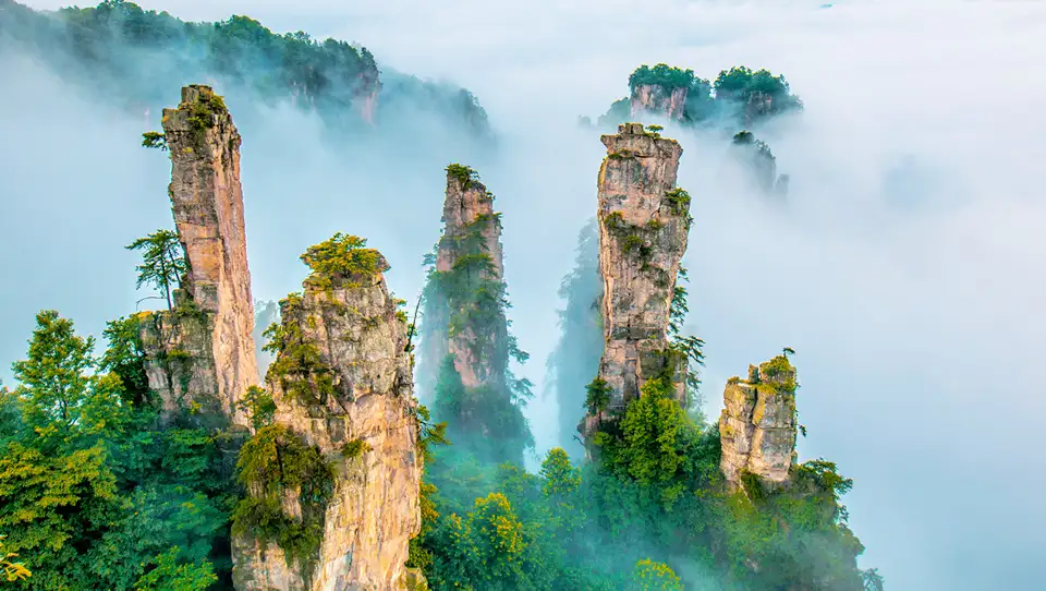 1_Zhangjiajie National Forest Park