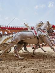 Puy du Fou