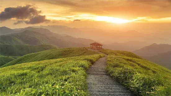 南丹縣巴平濕地森林康養旅遊景區