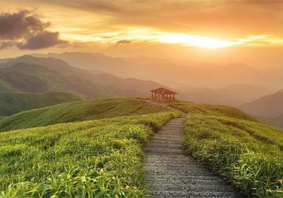 南丹縣巴平濕地森林康養旅遊景區