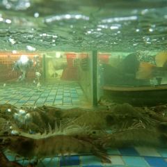 岚道第一湾海鲜楼·岚岛菜(平潭店) User Photo