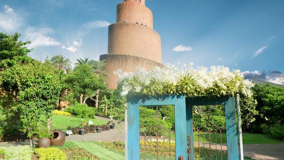 Tropical Dream Center