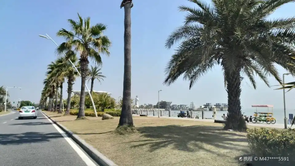 Hotels near Convention Center Beach